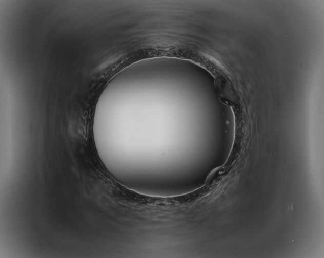 X0000087020869200704161559