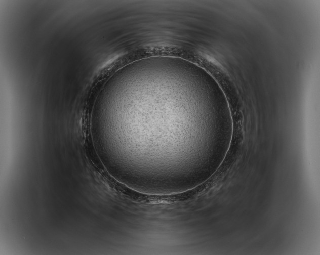 X0000087020870200704161559