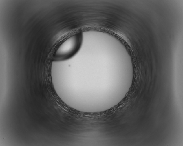 X0000087020872200704161559