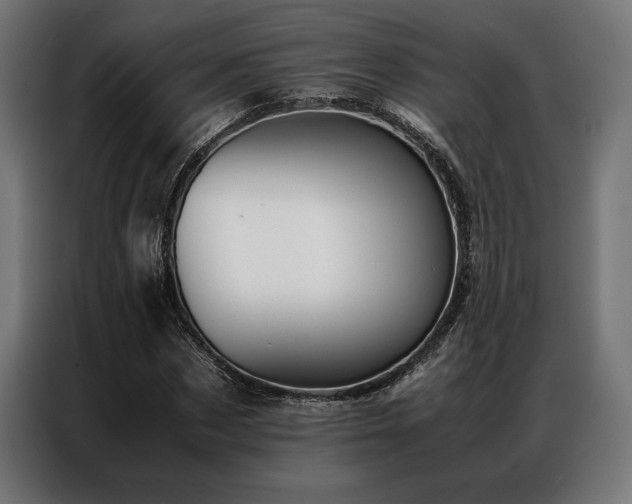 X0000087020873200704161559