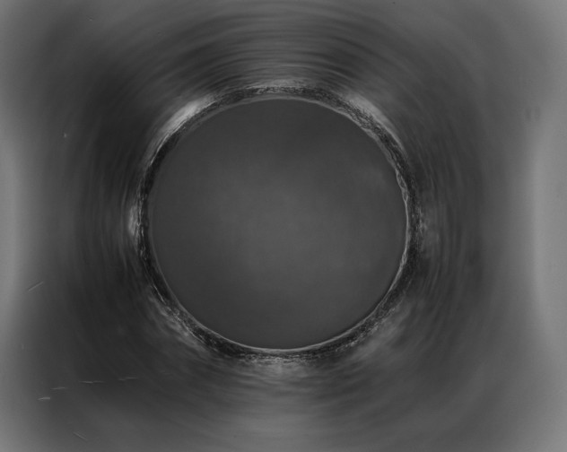 X0000087020874200704161559