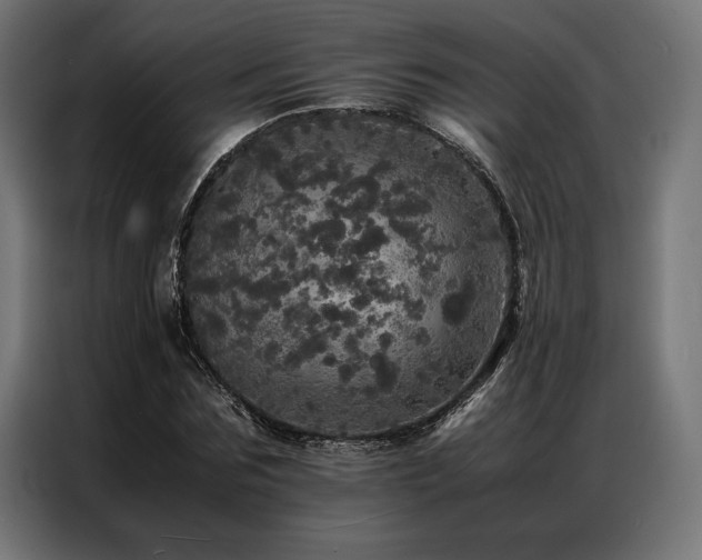 X0000087020875200704161559