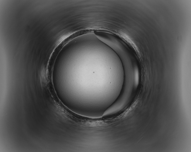 X0000087020876200704161559