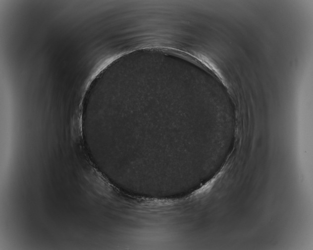 X0000087020877200704161559