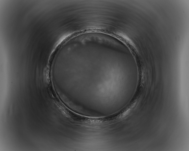 X0000087020878200704161559