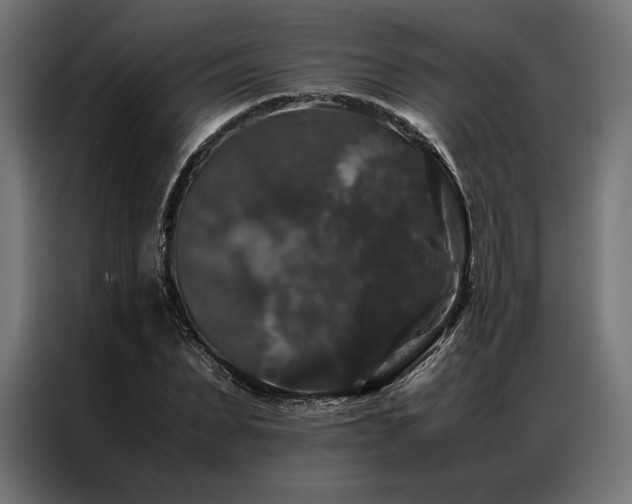 X0000087020879200704161559