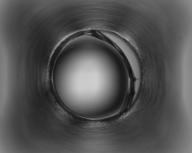 X0000087020880200704161559