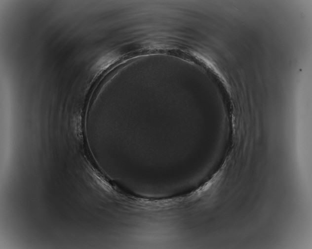 X0000087020881200704161559