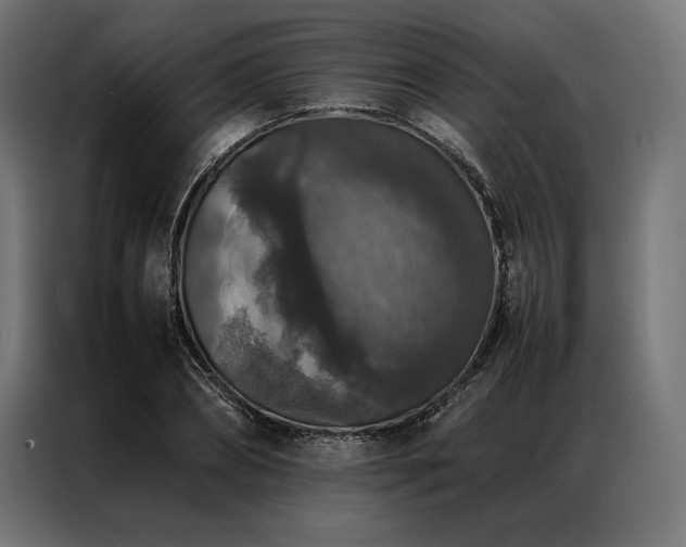 X0000087020882200704161559