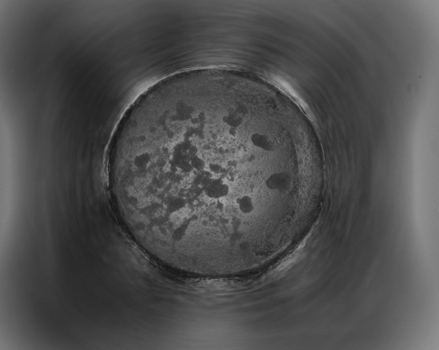 X0000087020883200704161559