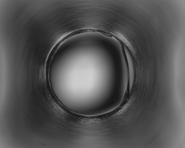 X0000087020884200704161559