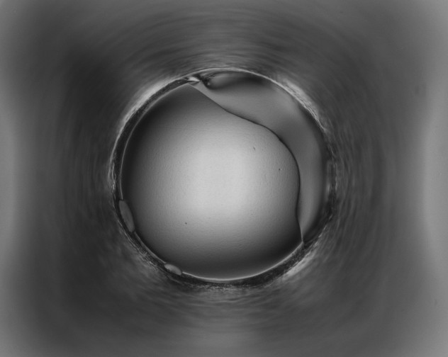 X0000087020885200704161559