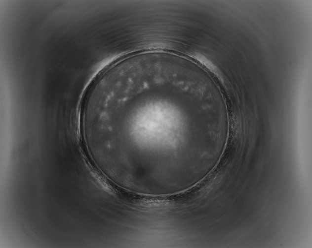 X0000087020886200704161559