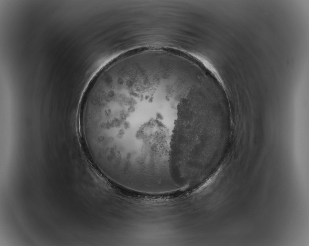 X0000087020887200704161559
