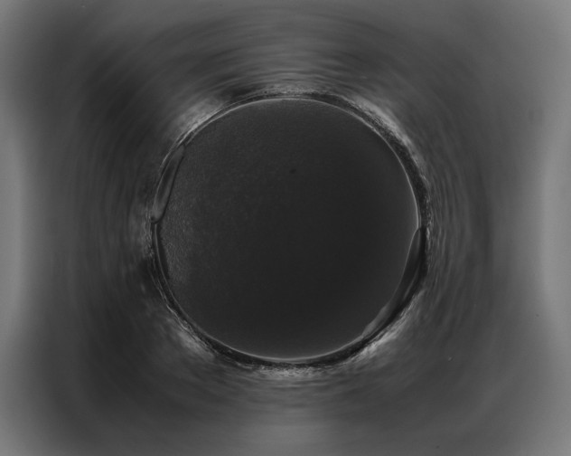 X0000087020889200704161559