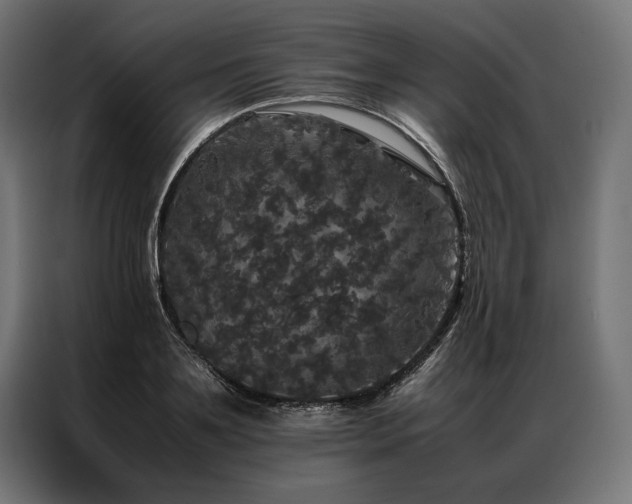 X0000087020891200704161559