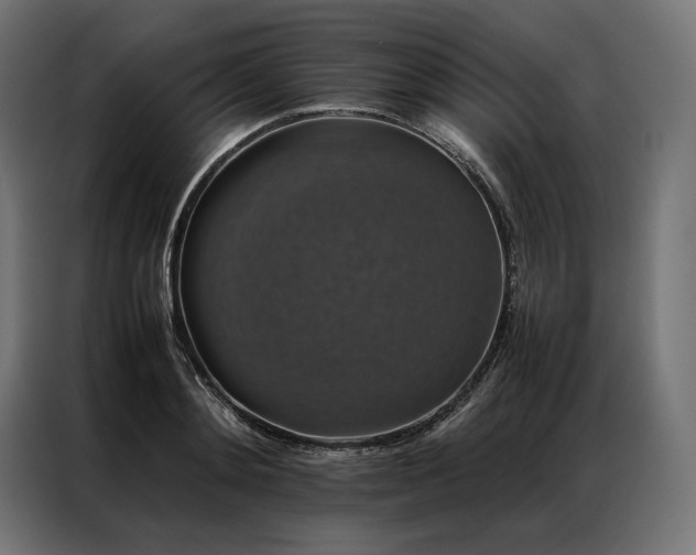 X0000087020892200704161559