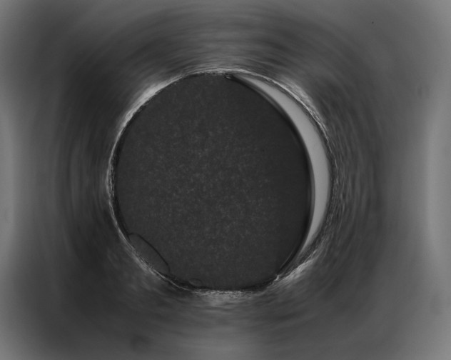 X0000087020893200704161559