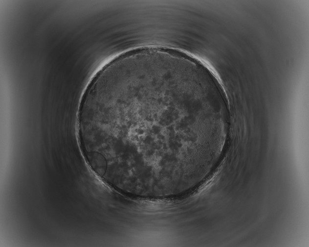 X0000087020895200704161559