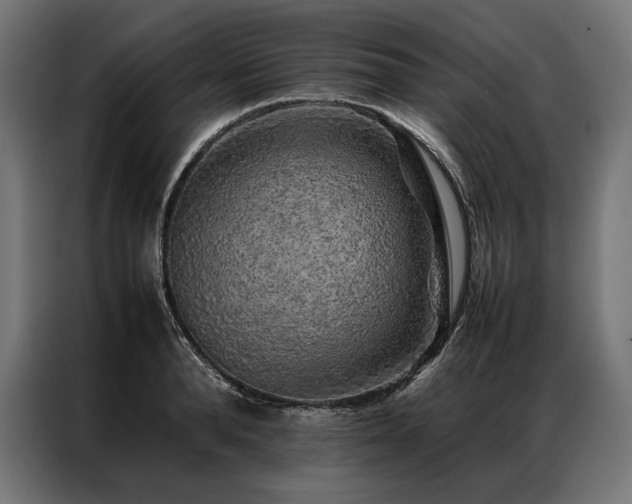 X0000087020896200704161559