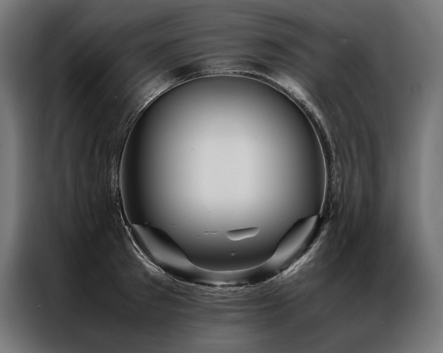 X0000087020897200704161559