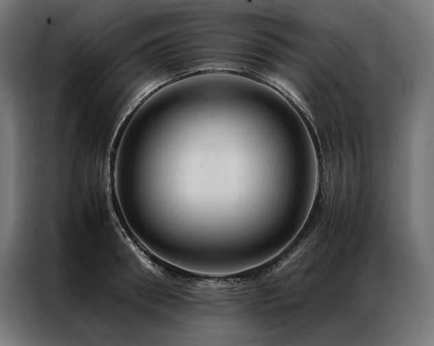 X0000087020898200704161559