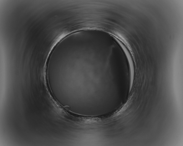 X0000087020899200704161559