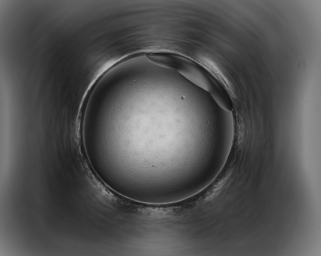 X0000087020900200704161559