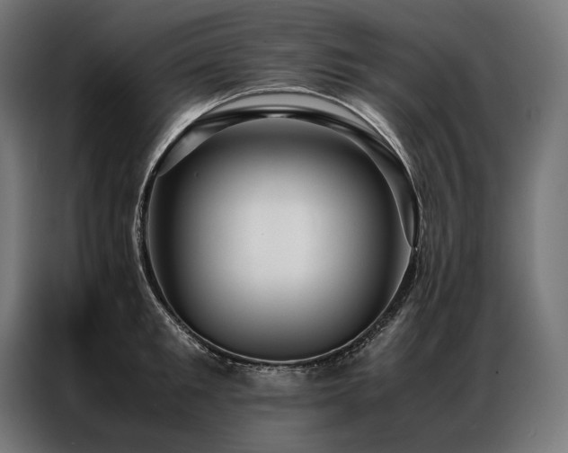 X0000087020901200704161559