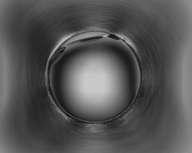 X0000087020902200704161559