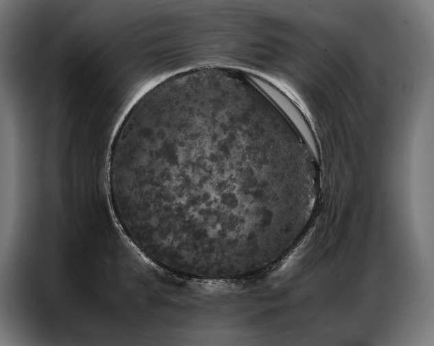 X0000087020903200704161559