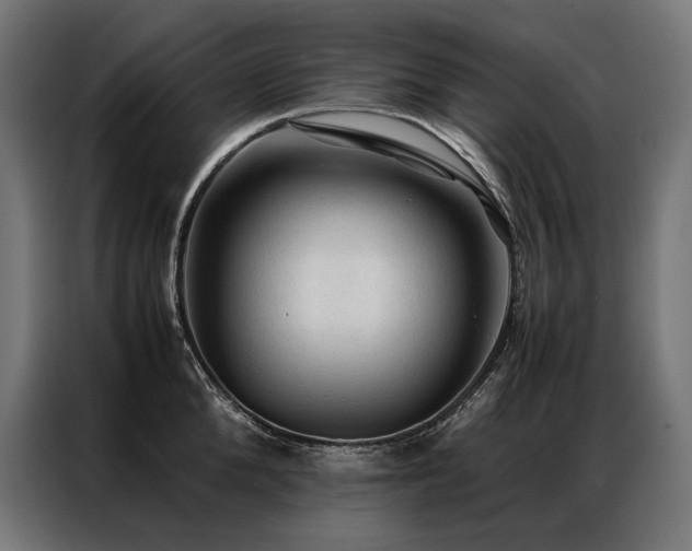 X0000087020904200704161559