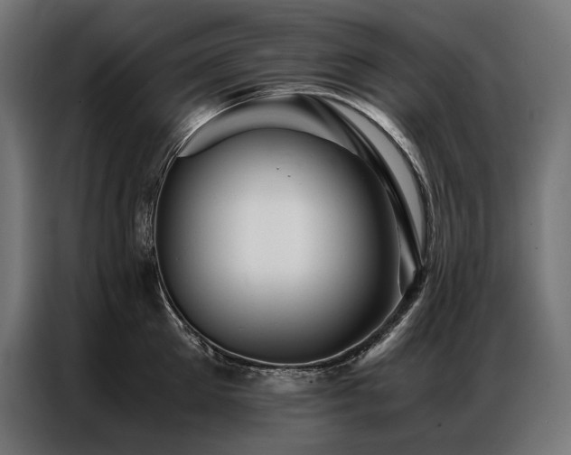 X0000087020905200704161559