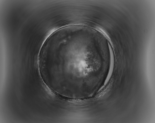 X0000087020907200704161559