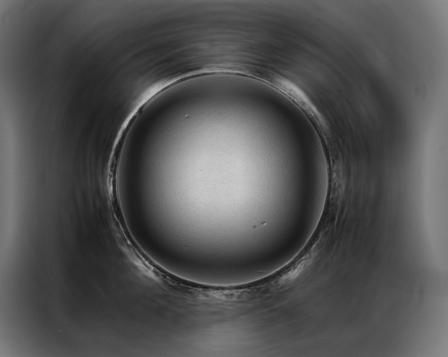 X0000087020908200704161559