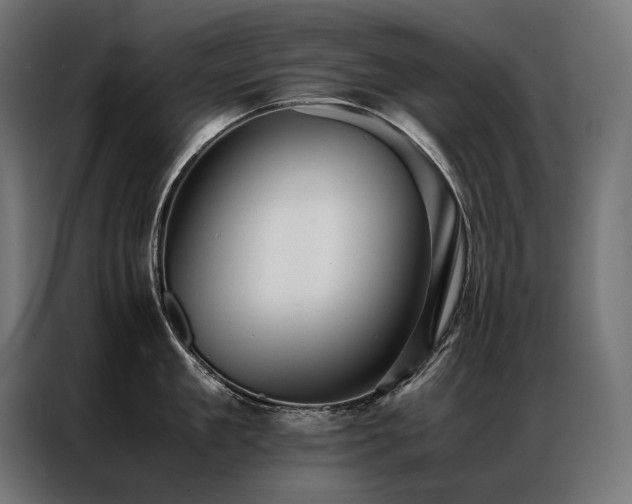 X0000087020909200704161559