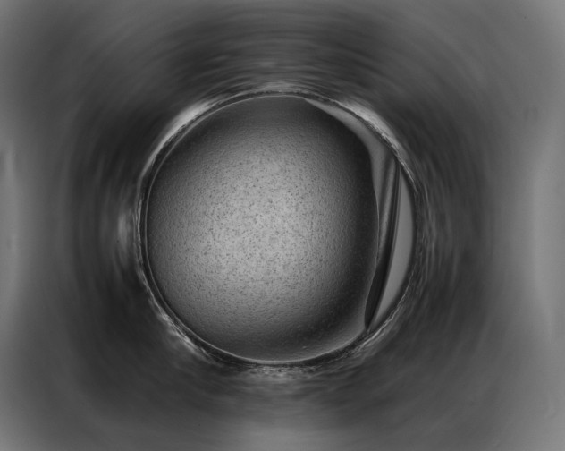 X0000087020910200704161559