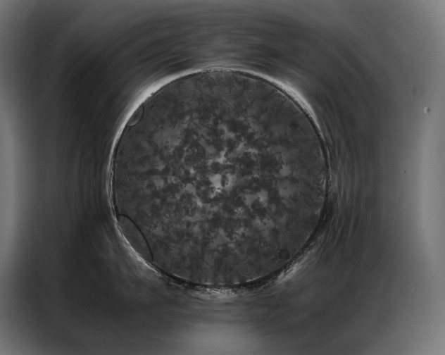 X0000087020911200704161559