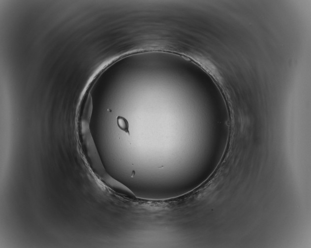 X0000087020912200704161559
