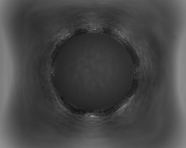 X0000087020913200704161558