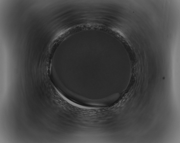 X0000087020919200704161558