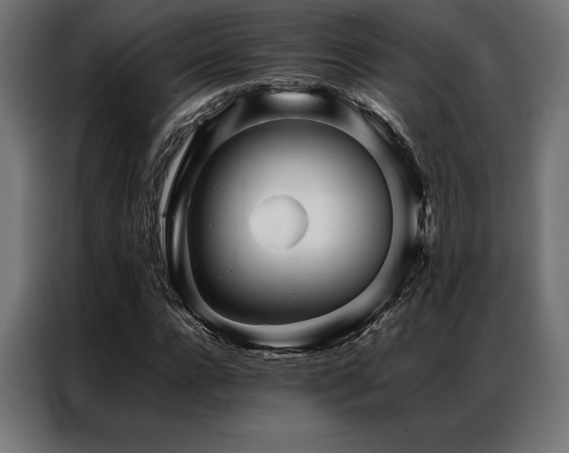 X0000087020920200704161558