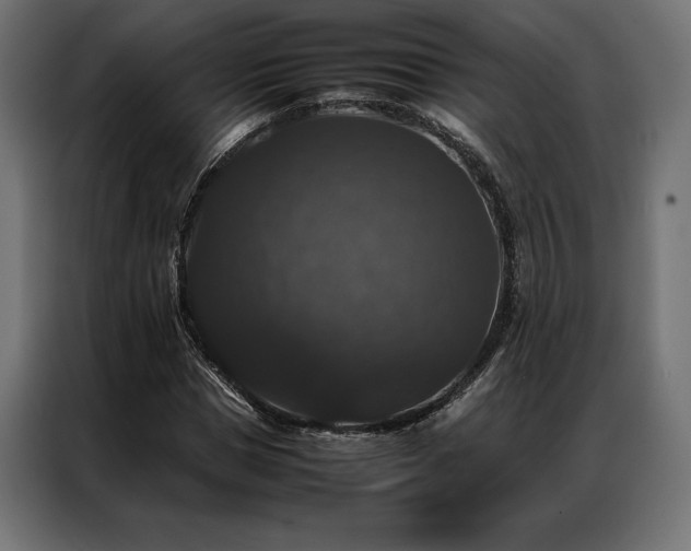 X0000087020921200704161558