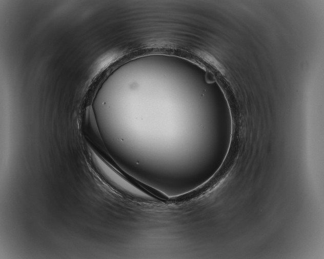 X0000087020922200704161558