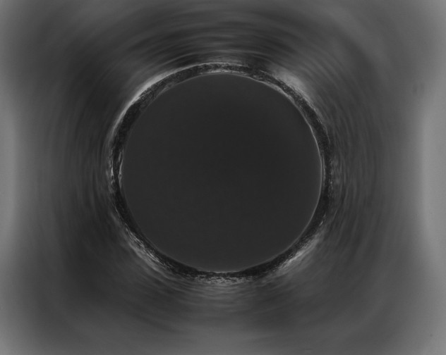 X0000087020923200704161558