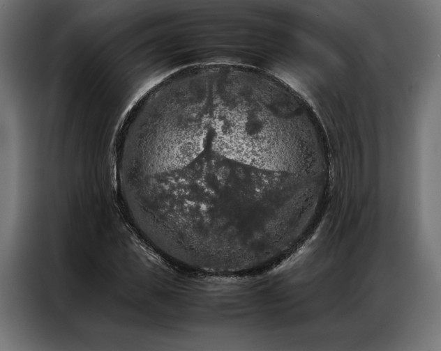 X0000087020925200704161558