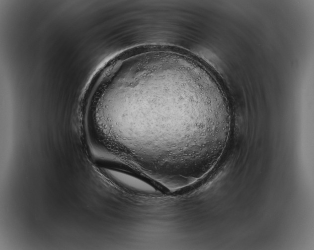 X0000087020926200704161558