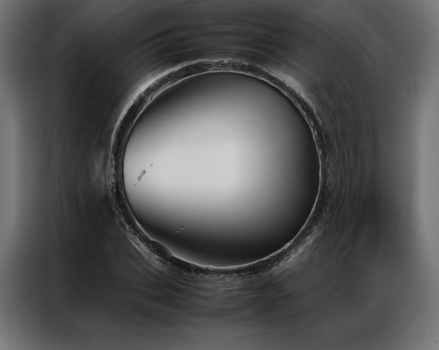 X0000087020927200704161558