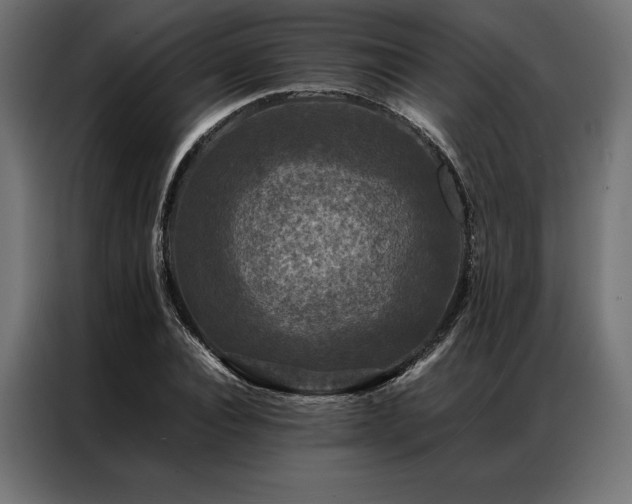 X0000087020928200704161558