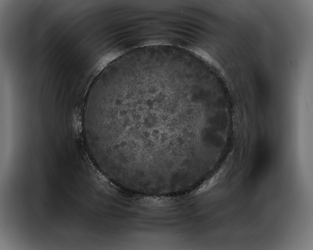 X0000087020929200704161558